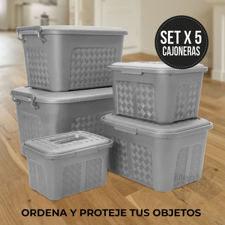 Set x2 Cajoneras o cajas plásticas organizadoras con tapa 10L Gris
