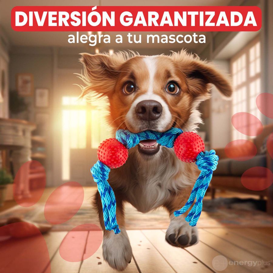 https://megashoptv.vteximg.com.br/arquivos/ids/166533-900-900/Juguete-para-Perro-Pelotas-y-Cuerda-Lanza-Ejercita-Antisarro-Rojo5.jpg?v=638326585214470000