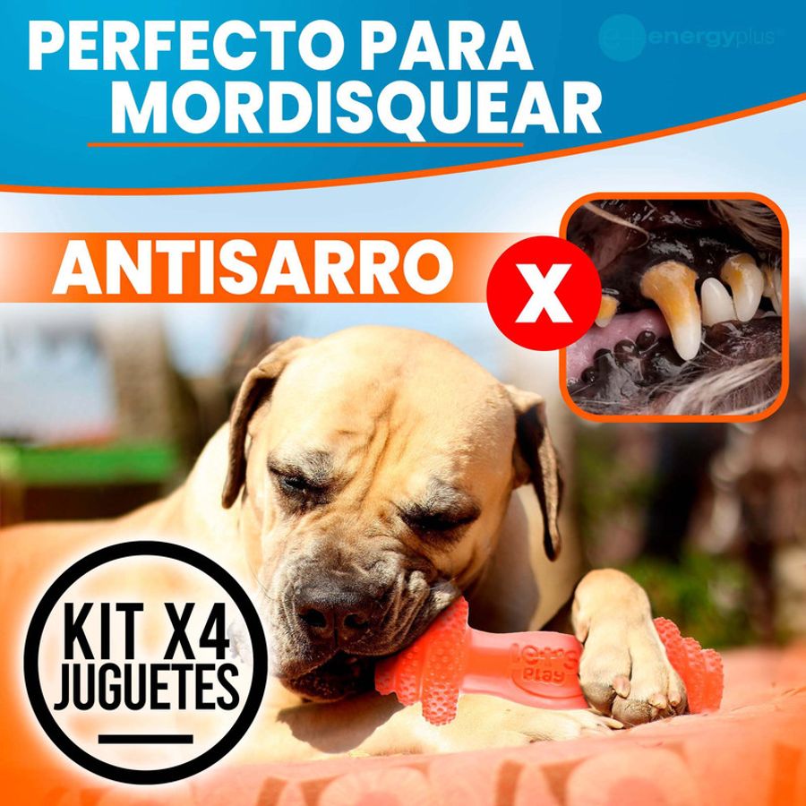 Juguetes para discount perros muy resistentes