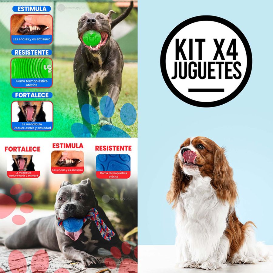 Combo X4 Juguetes para Perros Medianos: Diversión y Salud